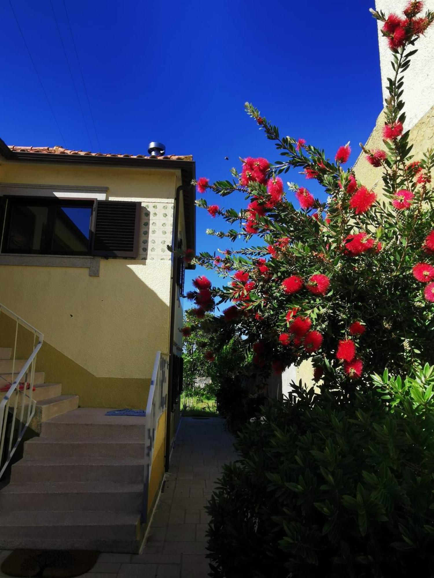 Casa Sao Pedro Belinho Only Pilgrims Bed & Breakfast Екстериор снимка